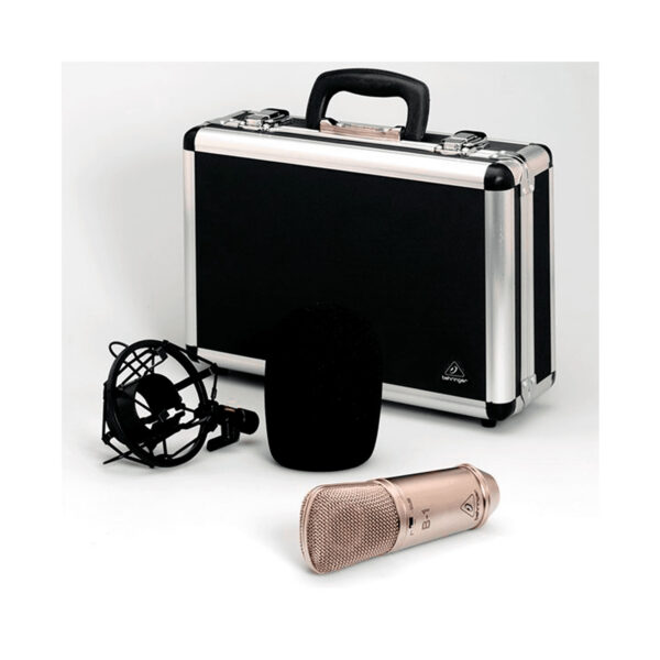 B-1 BEHRINGER - Image 2